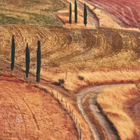 Hébergement de vacances Holiday Via I Piani Terranuova Bracciolini